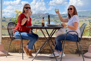 Firenze: Vingårder, smaksprøver, lunsj og dagstur til San Gimignano