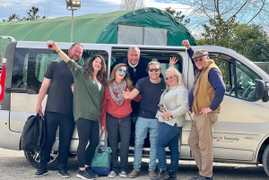 Firenze: Vingårder, smaksprøver, lunsj og dagstur til San Gimignano