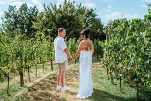 Firenze: Vingårder, smaksprøver, lunsj og dagstur til San Gimignano