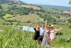 Firenze: Vingårder, smaksprøver, lunsj og dagstur til San Gimignano