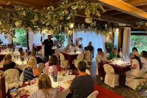 Firenze: Vingårder, smaksprøver, lunsj og dagstur til San Gimignano