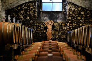 Florence: Wineries Tour in Chianti Wine Area with Dinner