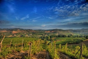 From Chianti Classic Private Tour & Tasting