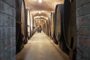From Florence: Chianti Wine Tour at 2 Estates w/Lunch&snacks