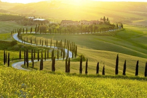 From Firenze | Chianti day trip in a classic car
