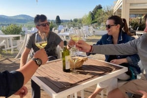 From Firenze | Chianti day trip in a classic car