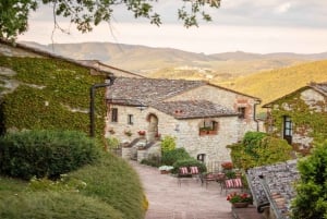 From Firenze | Chianti day trip in a classic car