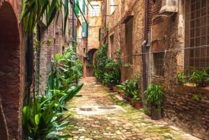 From Florence: 2-Hour Private Siena Guided Tour