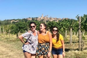 fra Firenze: Vespa-tur med alt inkludert i Chianti i Toscana