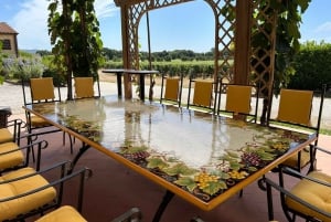 Exclusive Bolgheri Full-Day Wine Tour from Florence