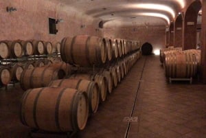 Exclusive Bolgheri Full-Day Wine Tour from Florence