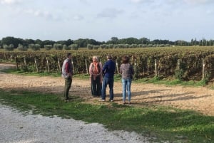 Exclusive Bolgheri Full-Day Wine Tour from Florence