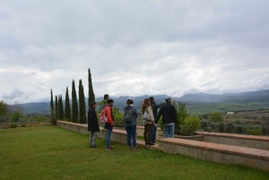 From Florence: Bolgheri Full Day Wine Tour