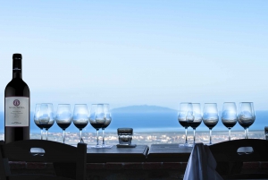 From Florence PRIVATE: Bolgheri Wine Tour with Tasting