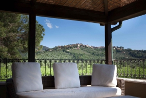 From Florence PRIVATE: Bolgheri Wine Tour with Tasting