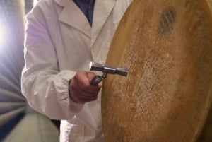 Vanuit Florence: Culinaire dagtrip naar Bologna met lokale proeverijen
