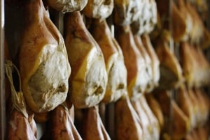 Vanuit Florence: Culinaire dagtrip naar Bologna met lokale proeverijen