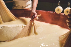Vanuit Florence: Culinaire dagtrip naar Bologna met lokale proeverijen