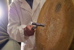 Från Florens: Dagsutflykt till Bologna med lokala smaktester