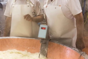 Från Florens: Dagsutflykt till Bologna med lokala smaktester