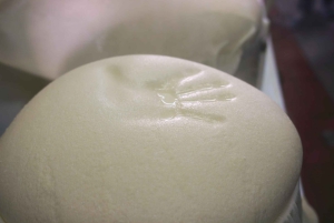 Från Florens: Dagsutflykt till Bologna med lokala smaktester