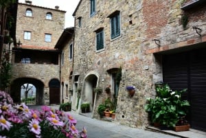 From Florence: Carmignano Half-Day Wine and Food Tour