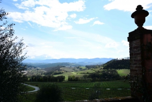 From Florence: Carmignano Half-Day Wine and Food Tour