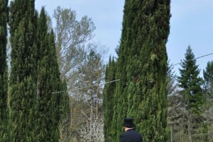 Från Florens: Åktur med häst och vagn i Chianti Hills med lunch