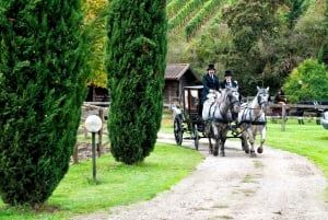 Från Florens: Åktur med häst och vagn i Chianti Hills med lunch