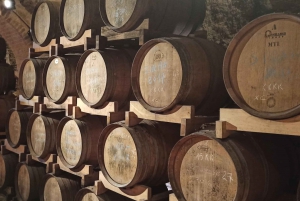 A partir de Florença: Excursão à tarde ao Chianti com degustação em duas adegas