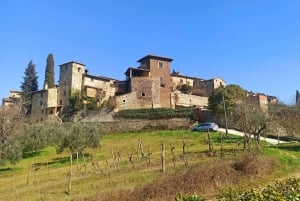 A partir de Florença: Excursão à tarde ao Chianti com degustação em duas adegas