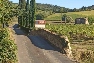A partir de Florença: Excursão à tarde ao Chianti com degustação em duas adegas