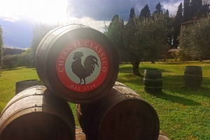 A partir de Florença: Excursão à tarde ao Chianti com degustação em duas adegas