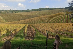 A partir de Florença: Excursão à tarde ao Chianti com degustação em duas adegas