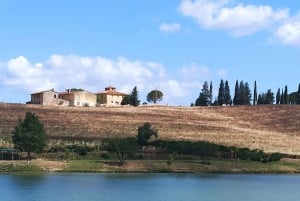 A partir de Florença: Excursão à tarde ao Chianti com degustação em duas adegas