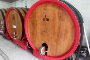 A partir de Florença: Excursão à tarde ao Chianti com degustação em duas adegas