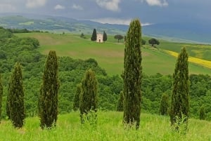 A partir de Florença: Excursão à tarde ao Chianti com degustação em duas adegas
