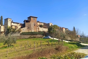 フィレンツェ発：キアンティ午後のツアー（ワイナリー2ヶ所での試飲付き）