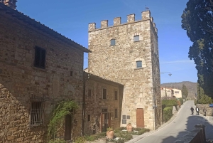 フィレンツェ発：キアンティ午後のツアー（ワイナリー2ヶ所での試飲付き）