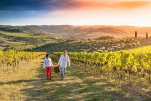 From Florence: Chianti Classic Private Tour & Tasting