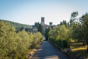 Vanuit Florence: Chianti rondleiding met proeverij van Toscaanse wijn