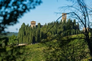 Firenzestä: Chianti opastettu kierros ja Toscanan viininmaistelu.