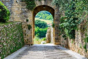 From Florence: Chianti Half-Day Afternoon Tour