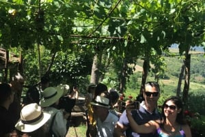 From Florence: Chianti Half-Day Afternoon Tour