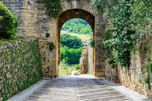 From Florence: Chianti Half-Day Afternoon Tour