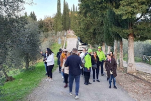 From Florence: Chianti Half-Day Afternoon Tour