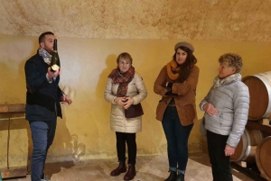 From Florence: Chianti Half-Day Afternoon Tour
