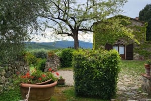 De Florença: passeio de meio dia pelos vinhos de Chianti