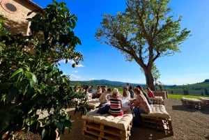 De Florença: passeio de meio dia pelos vinhos de Chianti