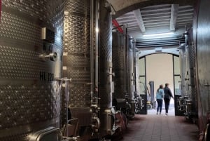 De Florença: passeio de meio dia pelos vinhos de Chianti